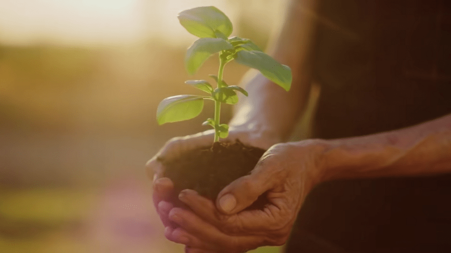 Solutions d’emballage durable