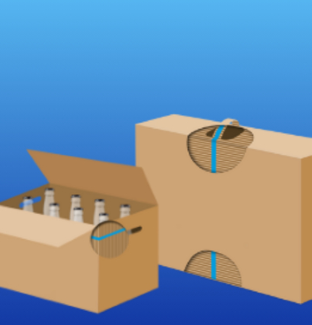 Bottles in carton box