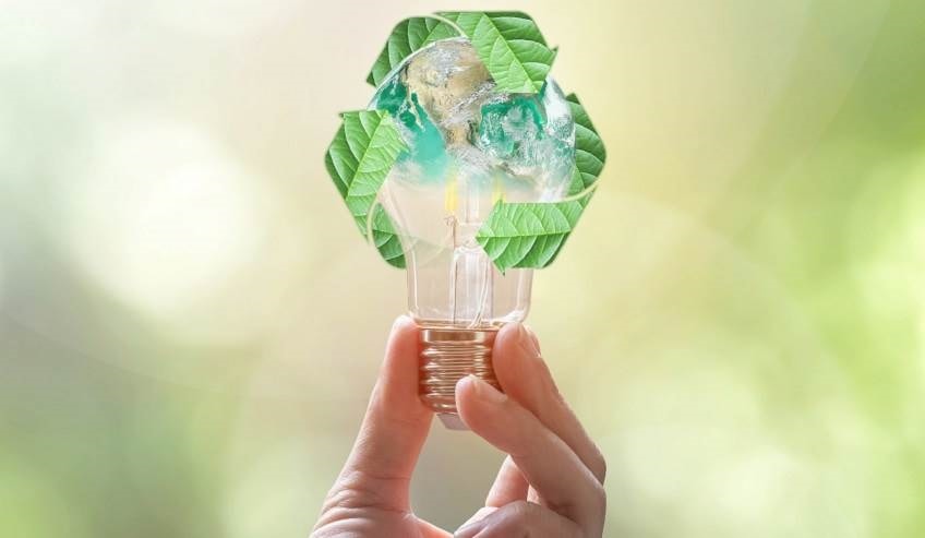 Bulb