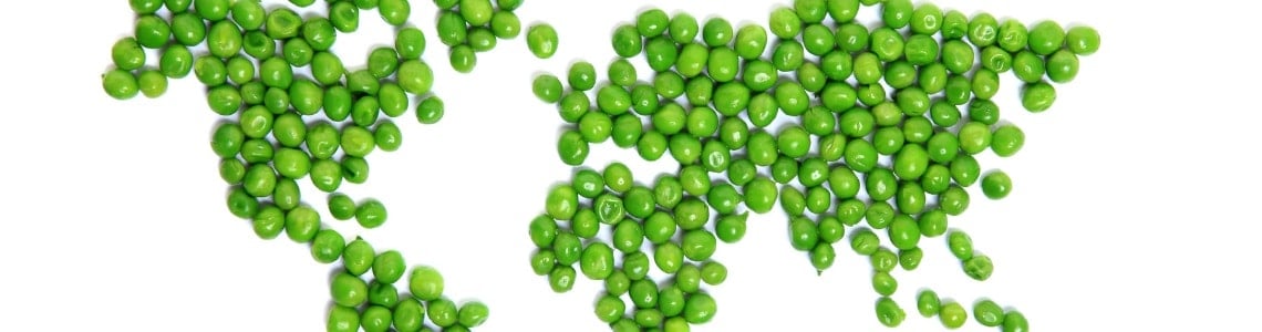 Sitecore.Data.Items.MediaItem?.Alt